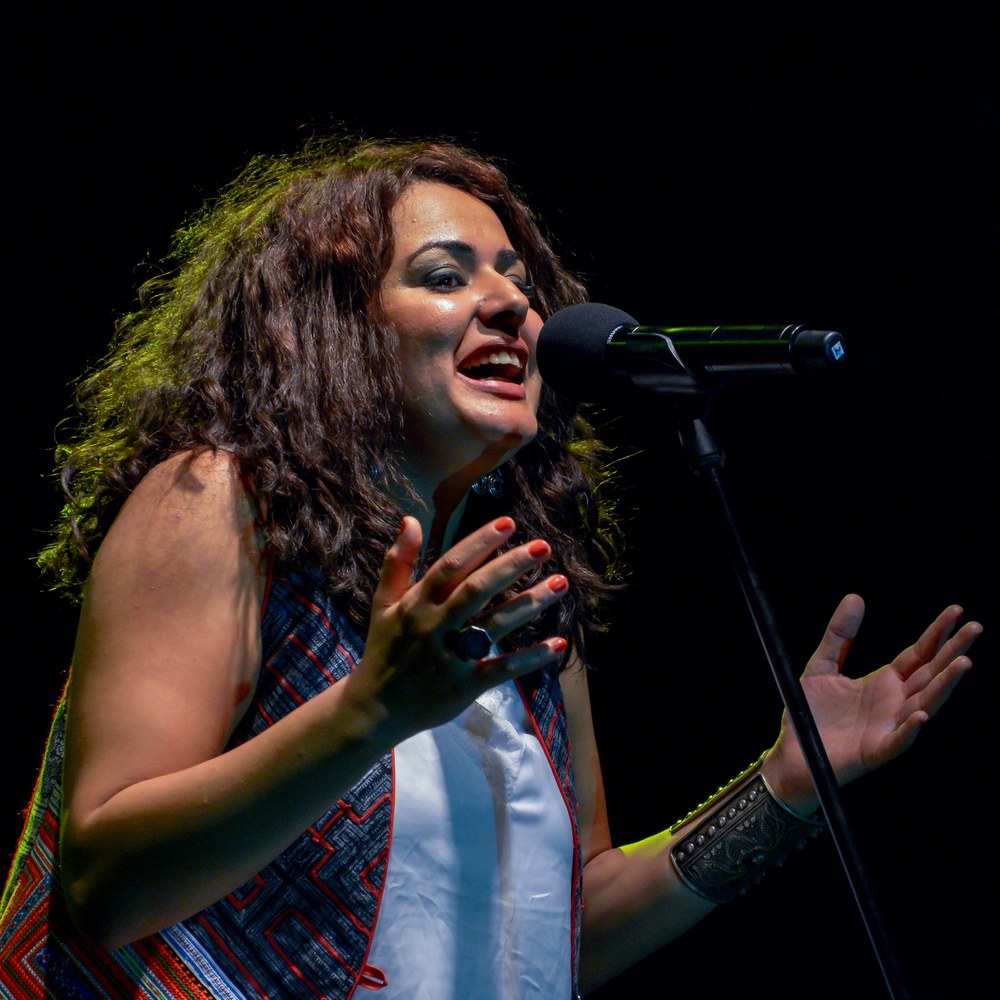 Dina El Wedidi