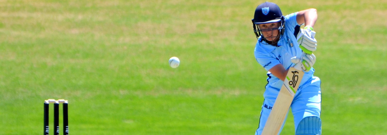 Alyssa Healy