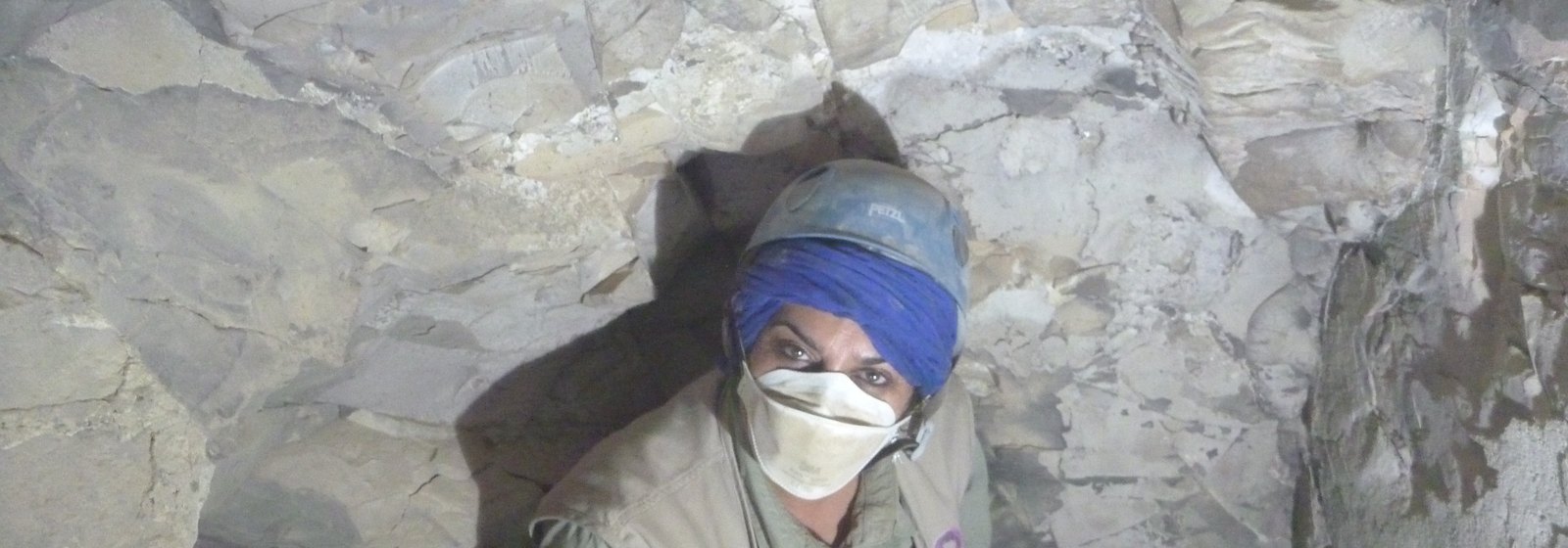 Salima Ikram